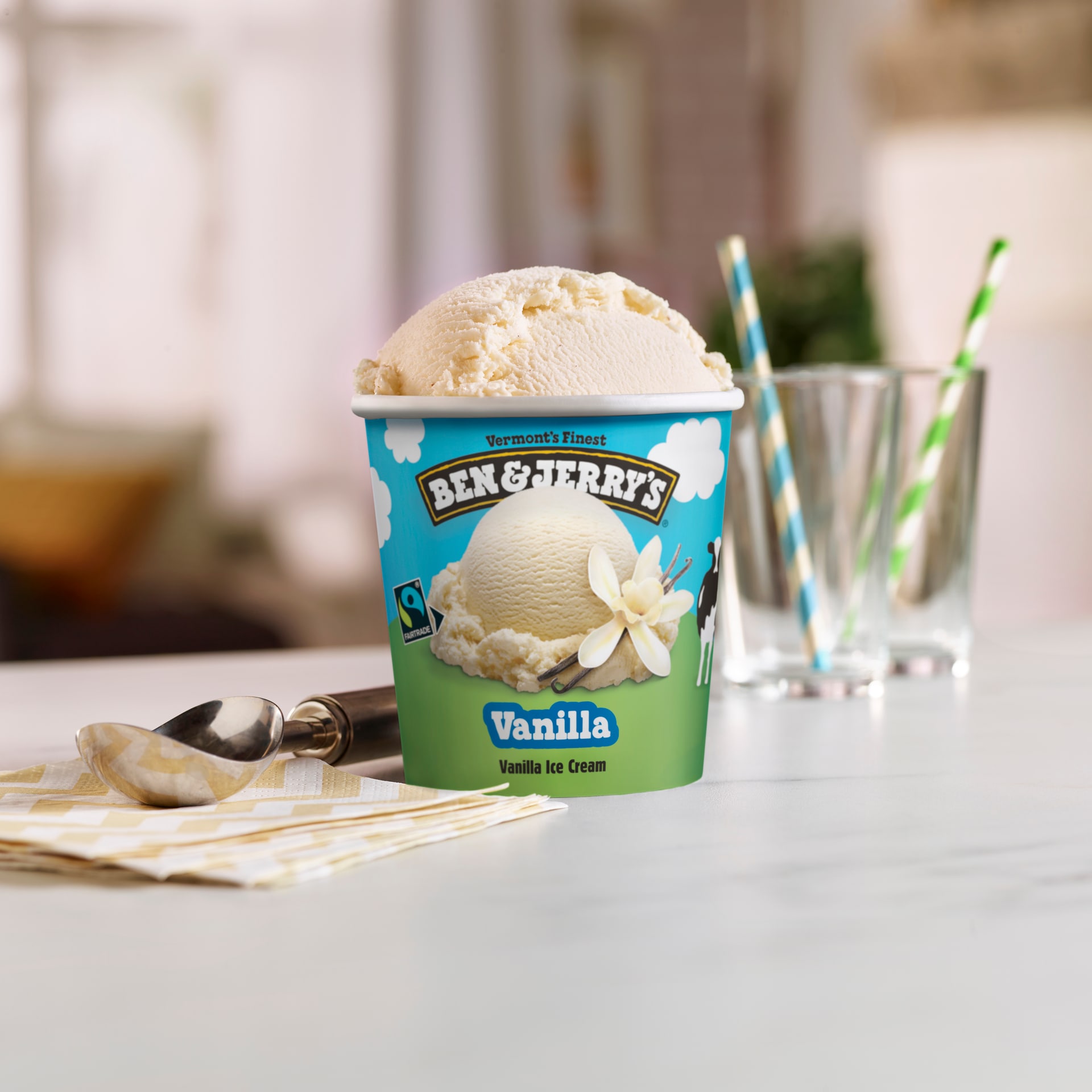 Ben and jerry's vanilla hotsell